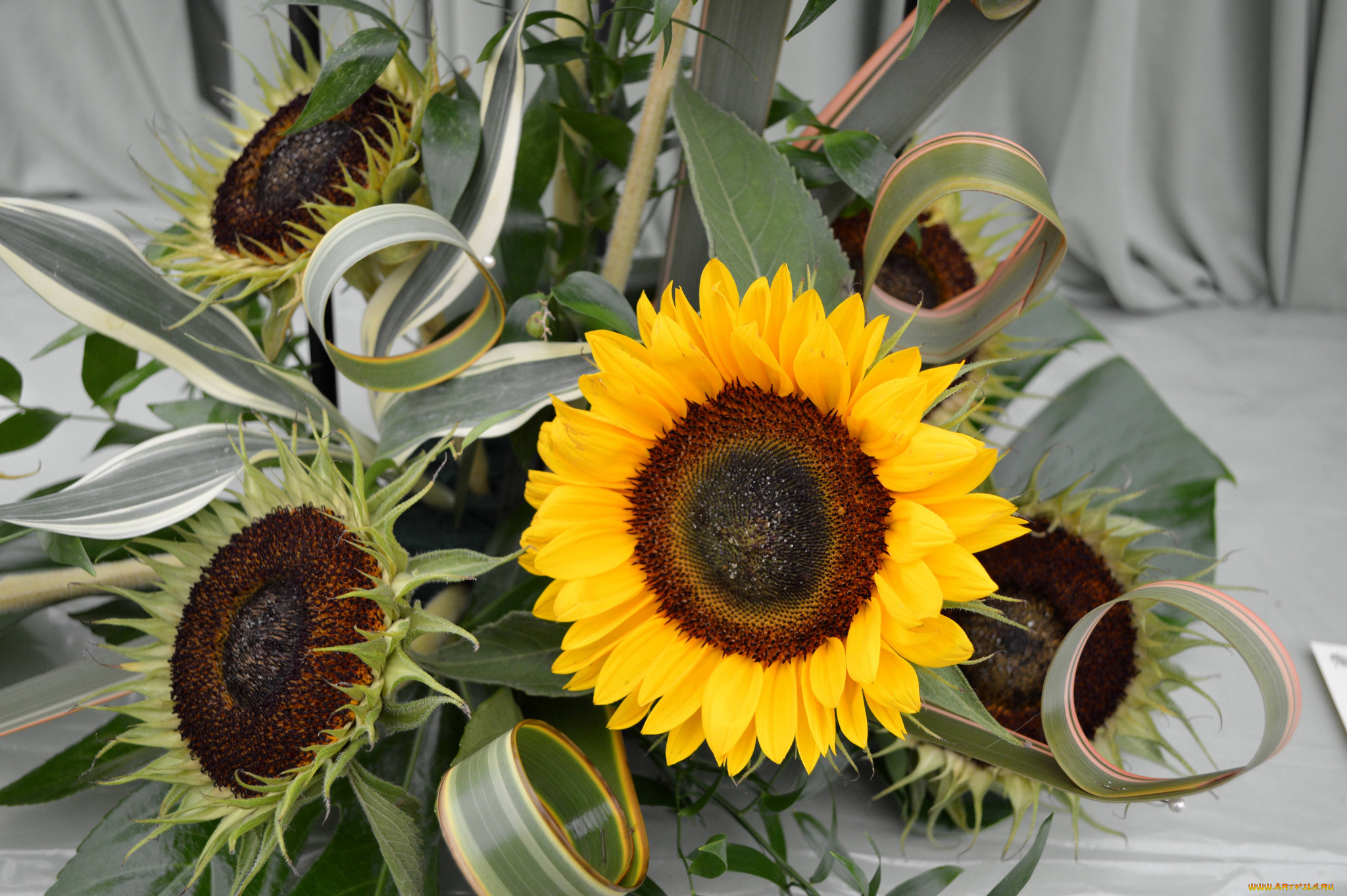 , , , sunflower, flowers, bouquet, 